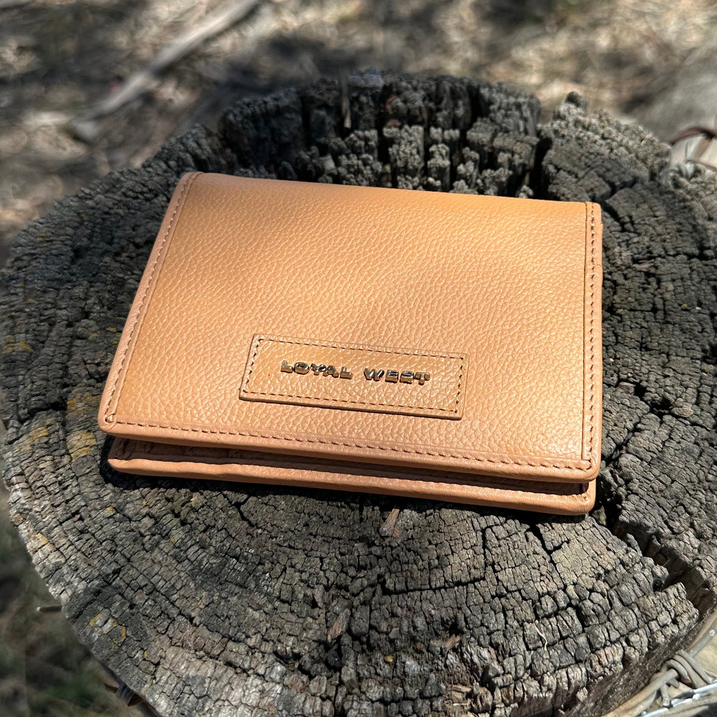 Meadow Steer Cardholder