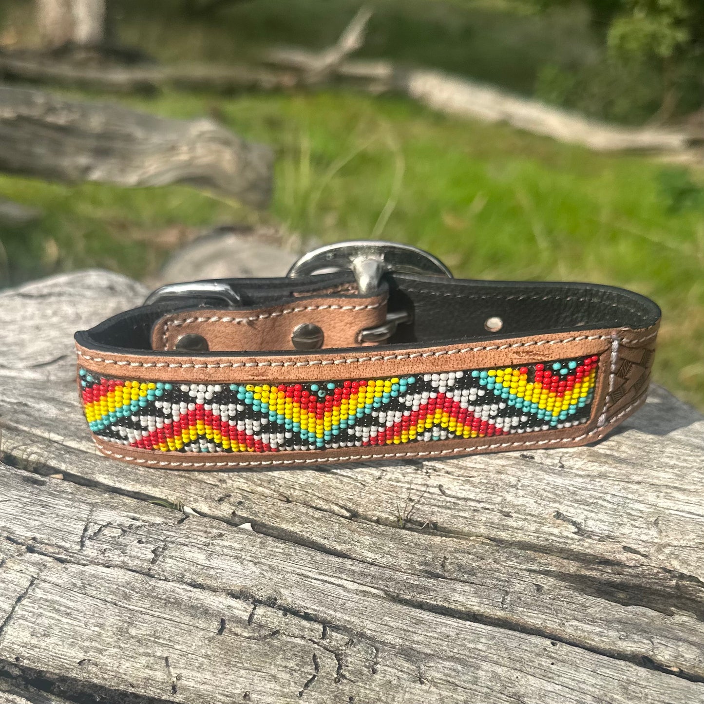 Agave Dog Collar