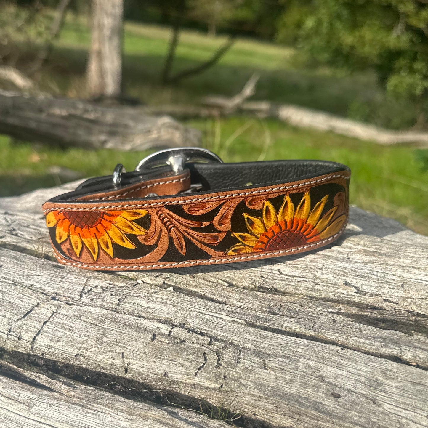Bright Sunflower Dog Collar