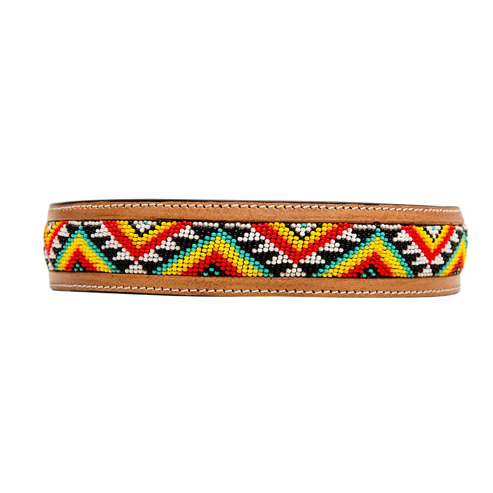 Agave Dog Collar