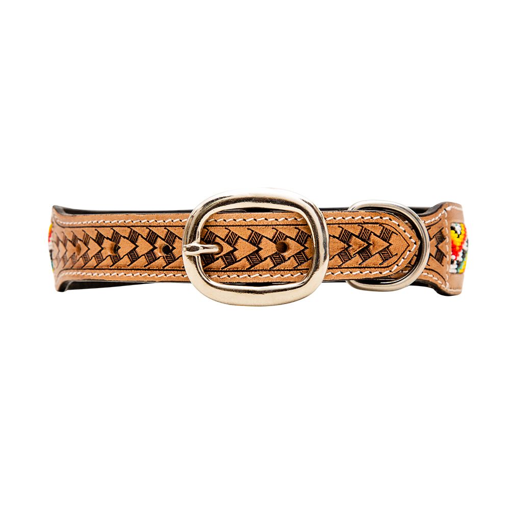 Agave Dog Collar