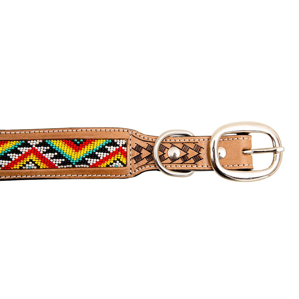 Agave Dog Collar