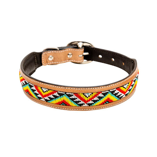 Agave Dog Collar