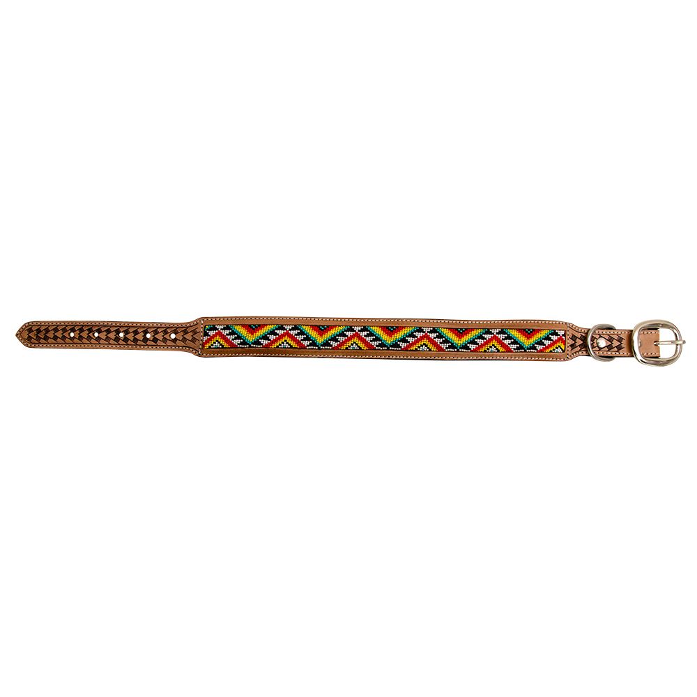 Agave Dog Collar