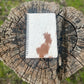 Cowhide Notebook