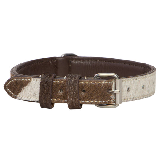 Cowhide Dog Collar